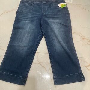 Westbound Dark Indigo Flare Jeans